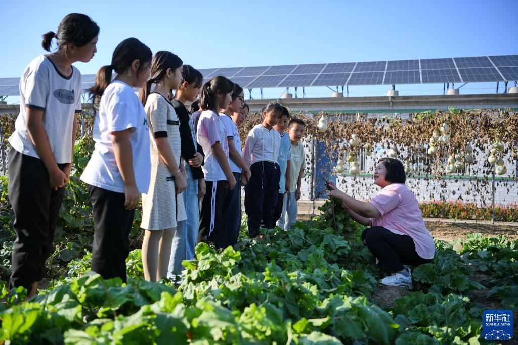 龙8官方网站